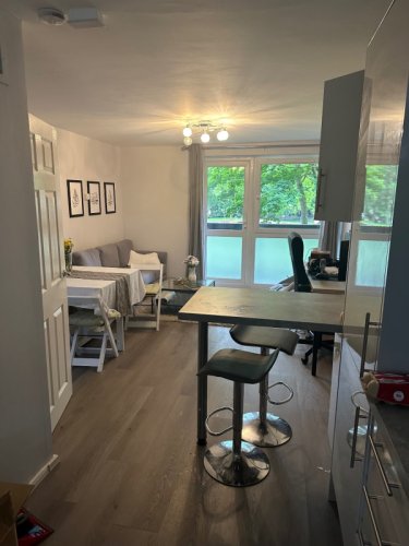 Modernus 1 kambario butas - Limehouse