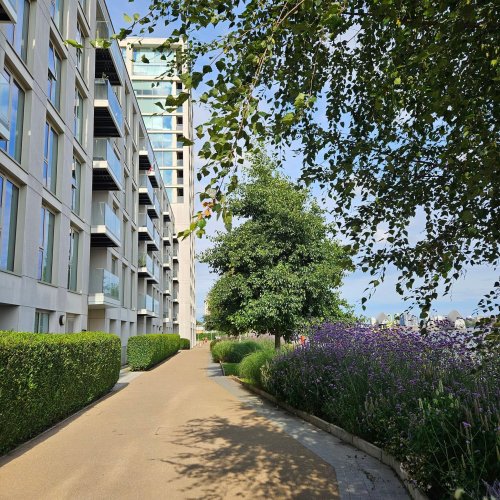 Lietuvių kalbos klubas Ramunė