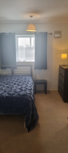 Išnuomojamas dvivietis kambarys